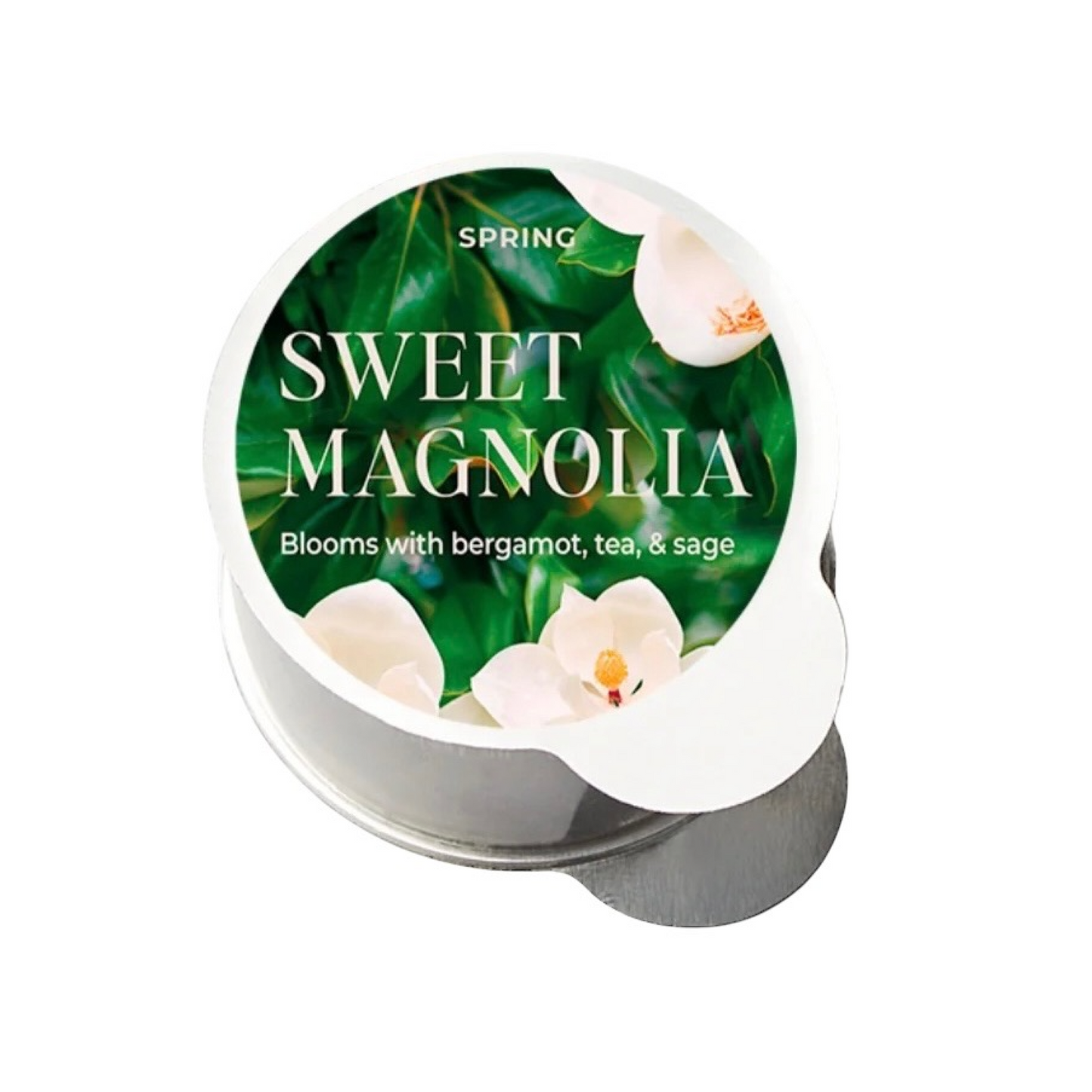 Sweet Magnolia