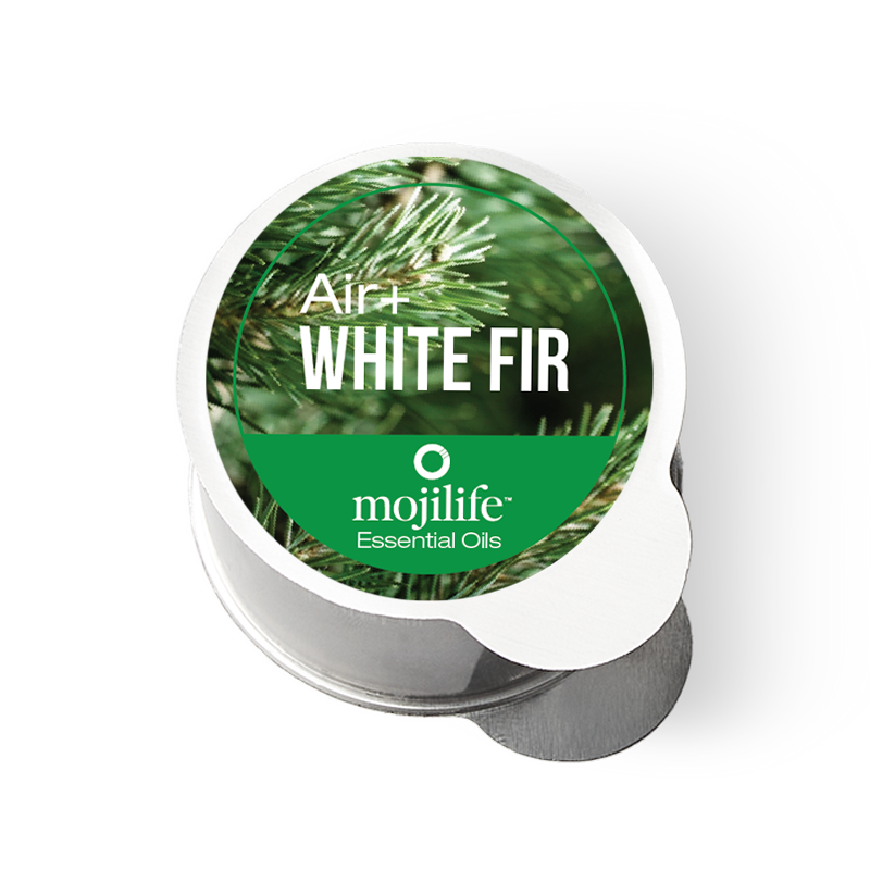 Air+White Fir