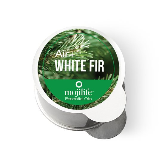 Air+White Fir